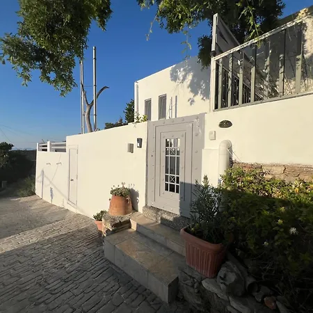 Feriehus Moeses House